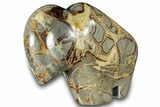 Calcite-Filled Polished Septarian Bison - Utah #301483-1